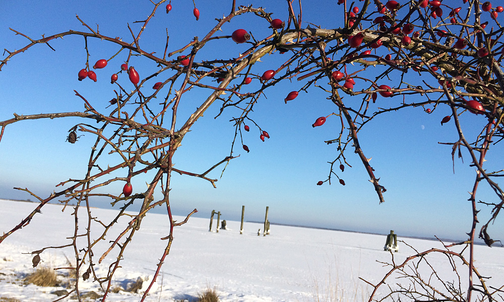Winter in Seebad Lubmin
